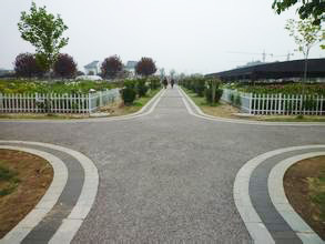 某公園透水混凝土地坪案例